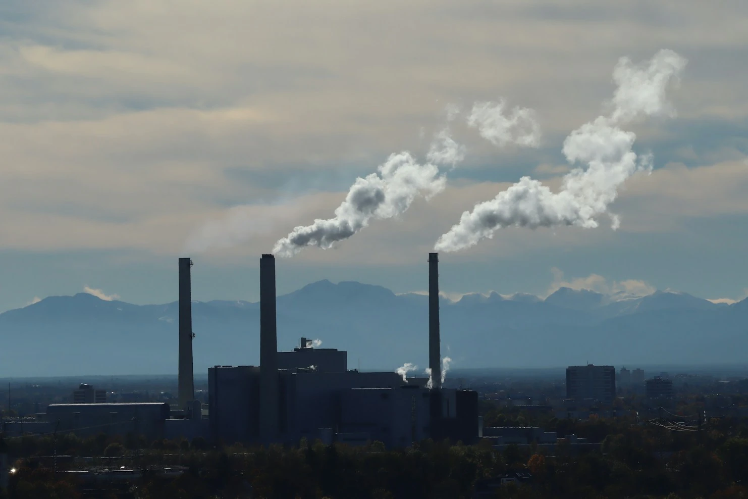 An Early Pioneer in Carbon Markets