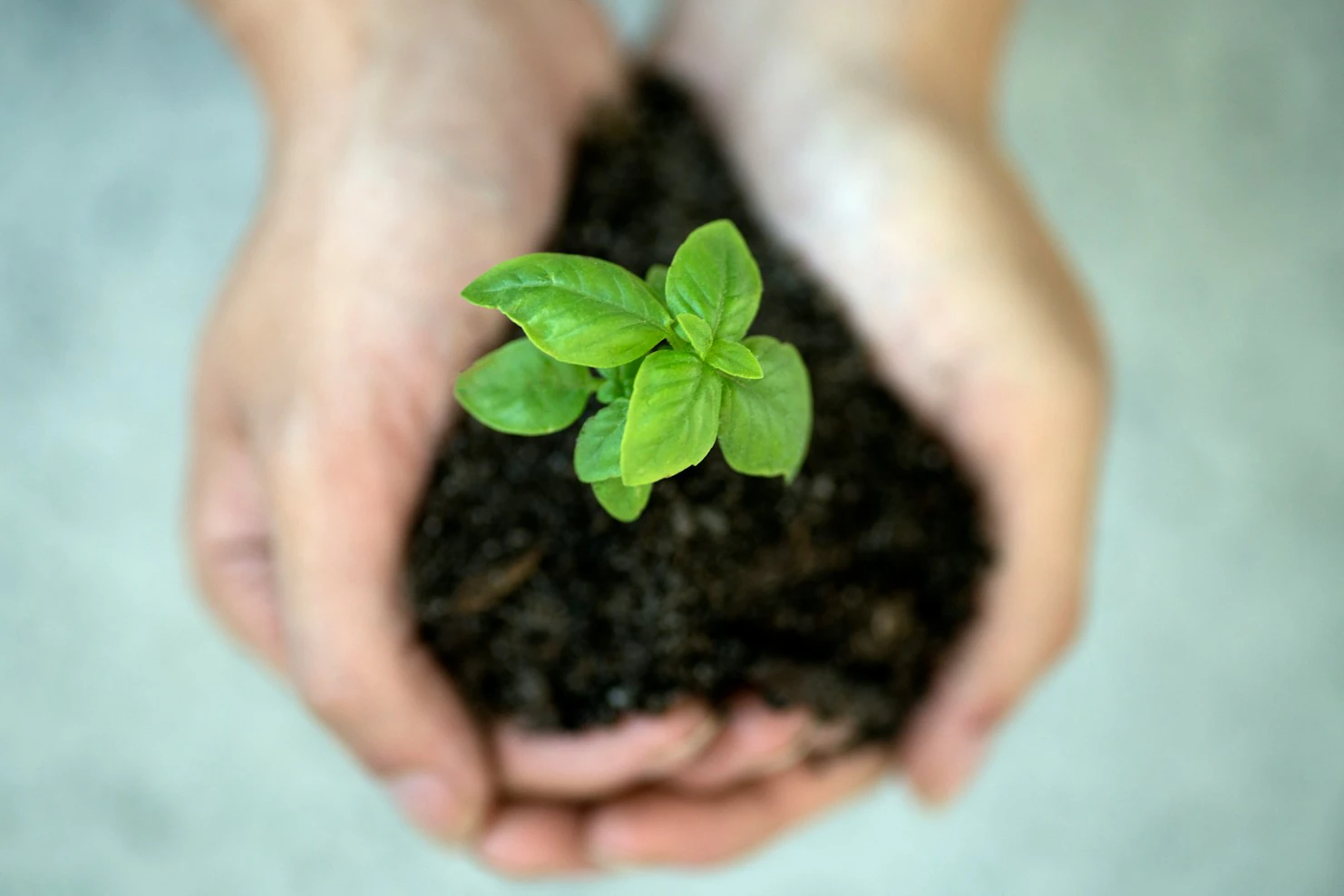 Leading a Global Sustainability Institution